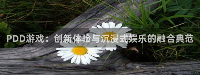 高德娱乐平台登录线路：PDD游戏：创新体验与沉浸式娱乐的融合