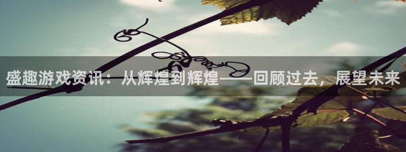 高德娱乐测速：盛趣游戏资讯：从辉煌到辉煌——回顾过去，展望未