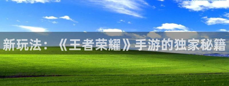 高德娱乐娱乐：新玩法：《王者荣耀》手游的独家秘籍
