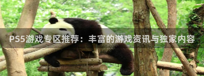 高德娱乐登陆地址：PS5游戏专区推荐：丰富的游戏资讯与独家内