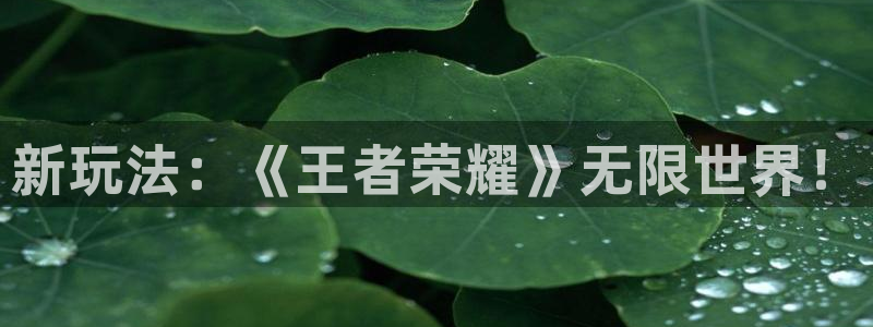 高德娱乐平台官方网站