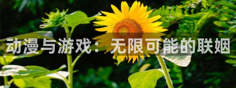 高德娱乐app下载：动漫与游戏：无限可能的联姻