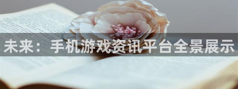 高德娱乐测速：未来：手机游戏资讯平台全景展示